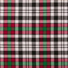 Borthwick Dress Ancient Tartan Kilt - view 2