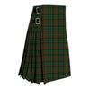 Clan Doyle Tartan kilt