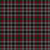 Clan Borthwick Ancient Tartan Kilt - view 2