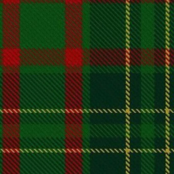Clan Doyle Tartan kilt