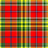 Clan Dunblane Tartan Kilt