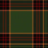 Clan Forder Tartan Kilt - view 2