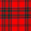 Clan MacDonnell Of Keppoch Modern Tartan Kilt - view 2