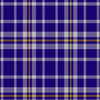 Clan Ochterlony Tartan Kilt - view 2