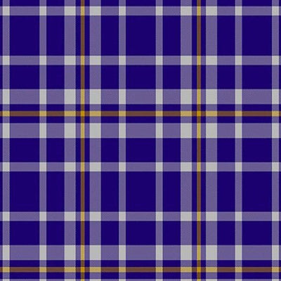 Clan Ochterlony Tartan Kilt - view 2