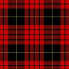 Clan Sweeney Tartan Kilt - view 2
