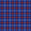 Daughters Of The American Revolution Tartan Kilt - view 2