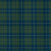 Douglas Green Muted Tartan Kilt - view 2