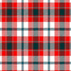 Glasgow District Tartan Kilt - view 2