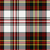 Hay Dress Modern Tartan Kilt