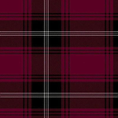 Llewellyn Tartan Kilt - view 2