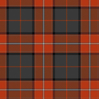 Philp Tartan Kilt - view 2