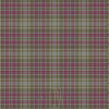 Ralston Weathered Tartan Kilt