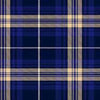 Rees (Preece) Tartan Kilt
