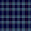 Roberts Tartan Kilt