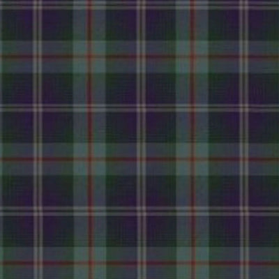 Save The Horse Tartan Kilt - view 2