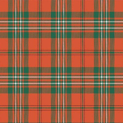 Scott Ancient Tartan Kilt - view 2