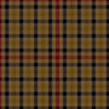 Seaforth Highland Tartan Kilt