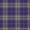 Spirit Of Glasgow Tartan Kilt