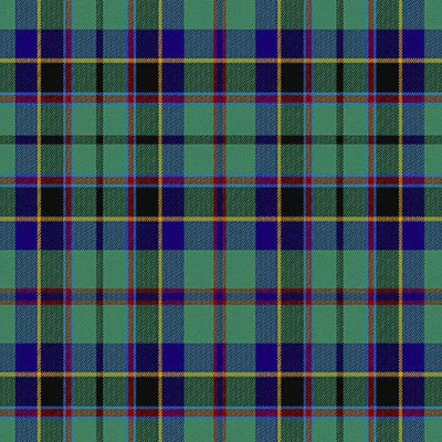 Stevenson Tartan Kilt - view 2