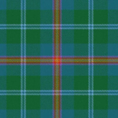 Young Ancient Tartan kilt - view 2