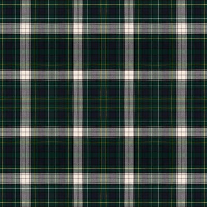 Campbell Dress Modern tartan fabric