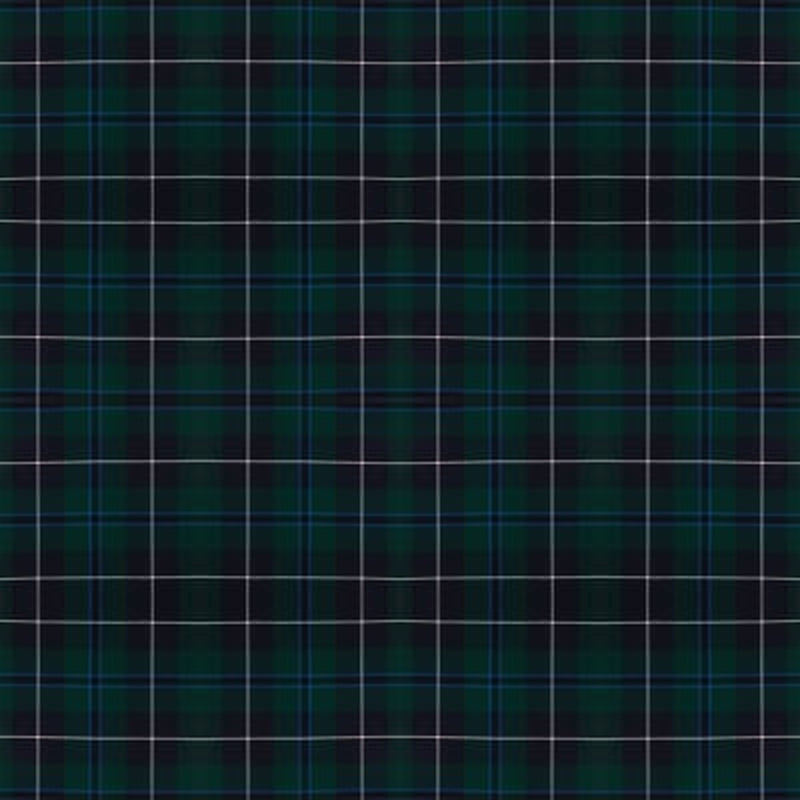 Douglas Modern tartan fabric