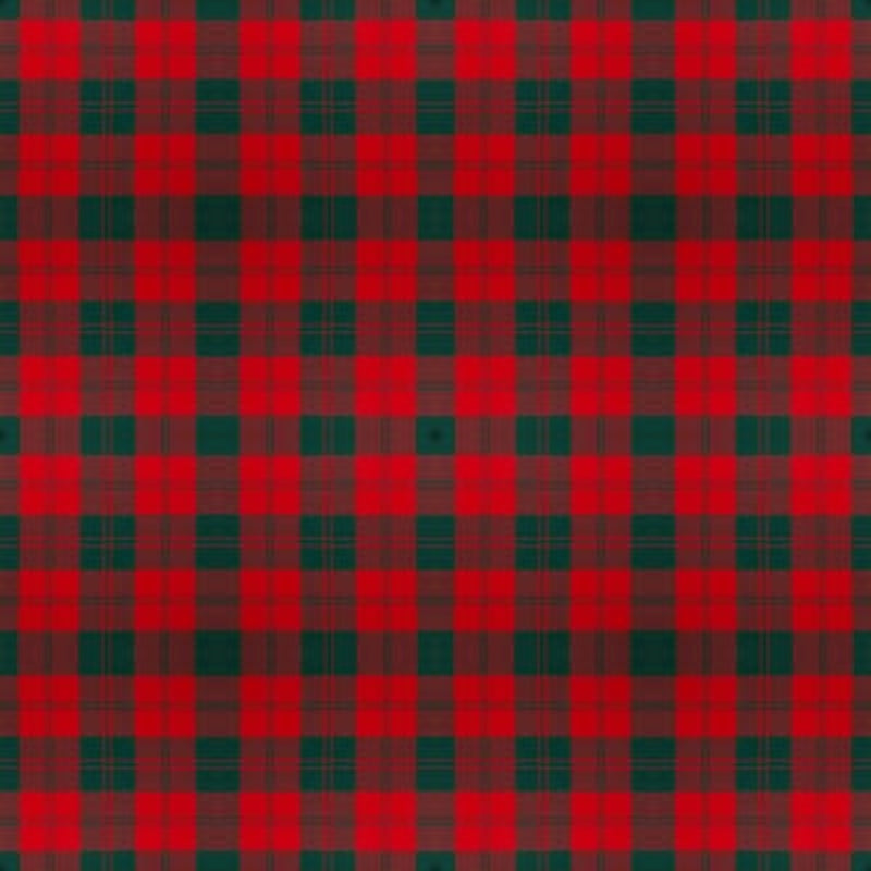 Erskine Modern tartan fabric