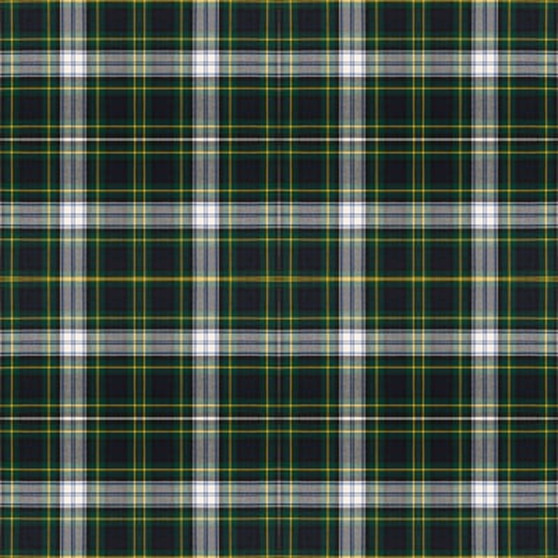 Gordon Dress Modern tartan fabric