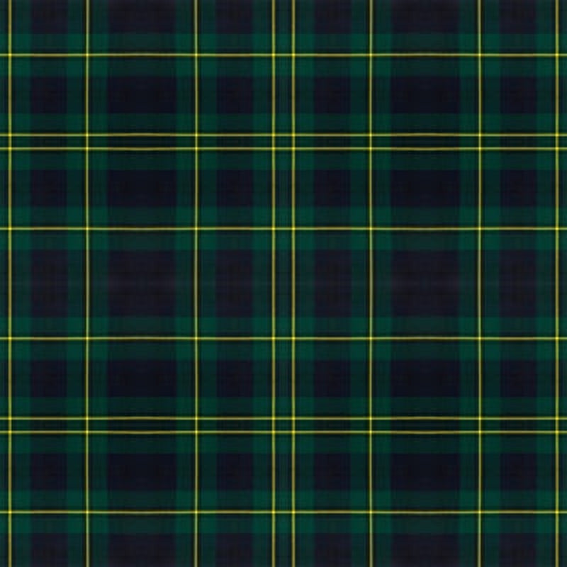 Johnstone Modern tartan fabric