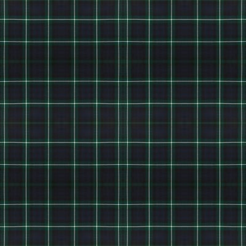 Lamont Modern tartan fabric