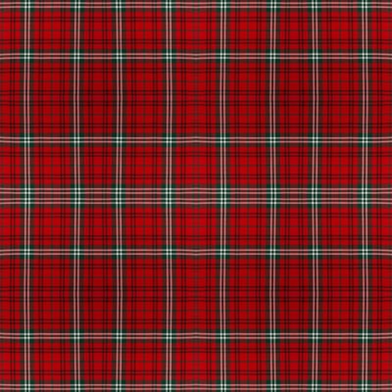 Morrison Red Modern tartan fabric