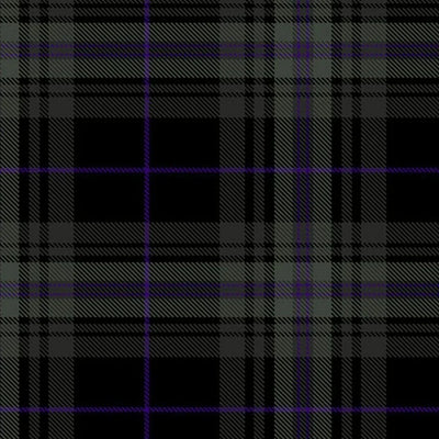 Afallon Tartan Kilt - view 2