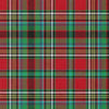 Anderson of Ardbrake Modern tartan kilt