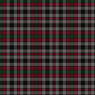 Clan Borthwick Ancient Tartan Kilt - view 2