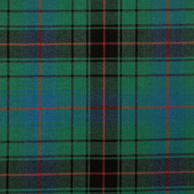 Clan Davidson Ancient Tartan Kilt - view 2