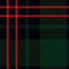Clan Duke of Fife Modern Tartan Kilt - view 2