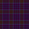 Clan Phillips Family Tartan Kilt - view 2