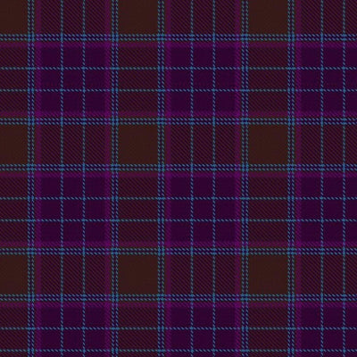 Clan Phillips Family Tartan Kilt - view 2