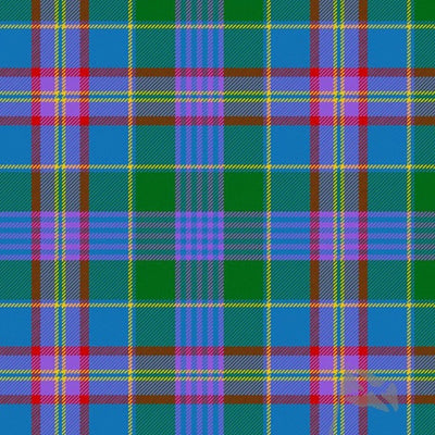 Clan Ralston Ancient Tartan Kilt - view 2