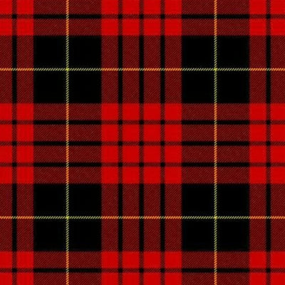 Clan Sweeney Tartan Kilt - view 2