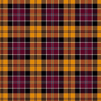 Culloden Muted Tartan Kilt - view 2