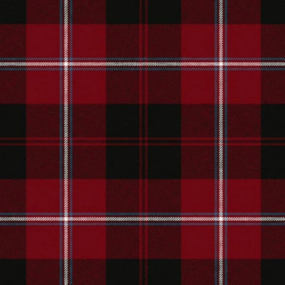 Cunningham Muted Tartan Kilt - view 2