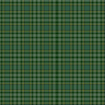 Currie Tartan Kilt - view 2