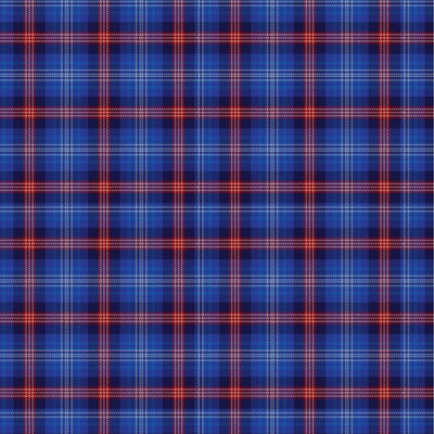 Daughters Of The American Revolution Tartan Kilt - view 2