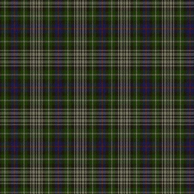 Davidson Tulloch Dress Tartan Kilt - view 2