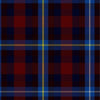 Highland Title Tartan Kilt - view 2