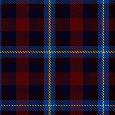 Highland Title Tartan Kilt - view 2