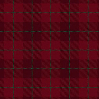 Keir Famliy Tartan Kilt - view 2