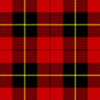 Ladies Wallace Modern Tartan Kilt